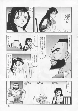 Page 33 of CAMELEON TECHNOLOGY IV