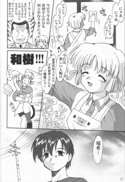 Page 11 of Daidoujin Mizuki