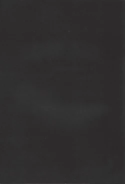 Page 4 of Nibiiro no Kibou