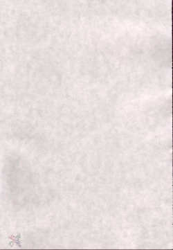 Page 44 of Asuna Only