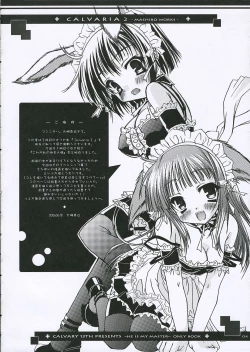 Page 4 of Calvaria 2