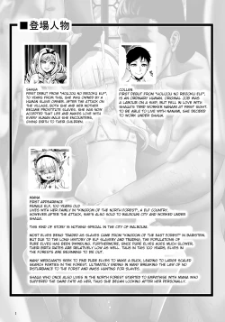 Page 3 of Houjou no Reizoku Elf 6