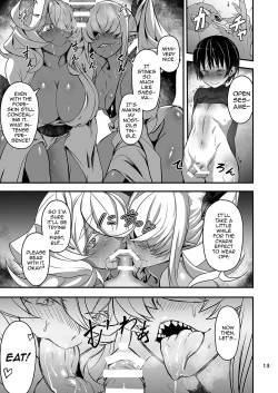 Page 13 of Akanameya