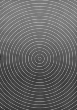 Page 4 of Zettai Saimin Nante Kakaranai Kuma!