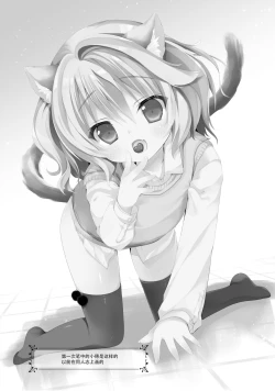 Page 13 of Koneko no Kaikata