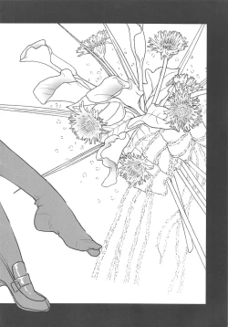 Page 17 of Arisugawa-san no Iu Toori