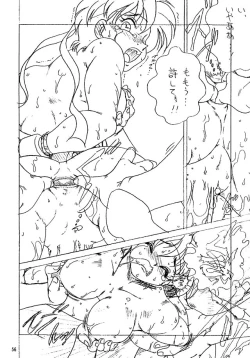 Page 55 of Street Fighter Zero 2