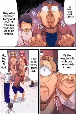 Page 7 of Honjitsu, Joshi Neko Nyuuka Shimashita! | New Female Cats in Stock Today