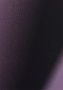 Page 17 of Nure Miko