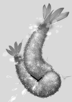 Page 21 of Ebi Fry Sou Uke Anthology