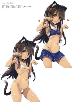 Page 3 of Neko Neko Note 2