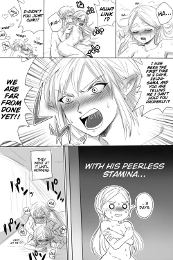 Page 13 of BreaWi no LinZel ga Hitasura Ichaicha Shite Sukebe na Koto Suru Manga | A BoTW manga where Link and Zelda earnestly flirt and do lewd things