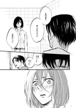 Page 28 of 【WEB Sairoku】 Silent Roar【Shingeki no Kyojin】
