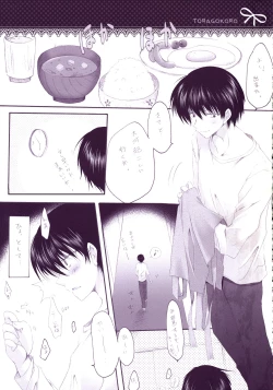 Page 4 of TORAGOKORO