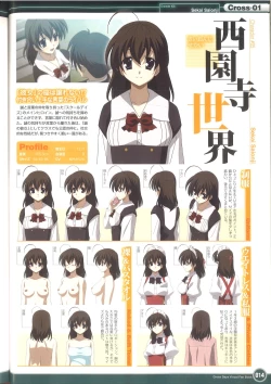 Page 20 of Cross Days Visual Fan Book