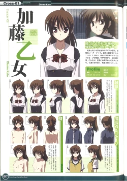 Page 23 of Cross Days Visual Fan Book