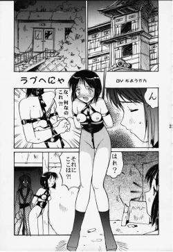 Page 17 of SHINOBOOK 2