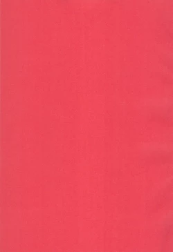 Page 4 of NICO MAKI TRYST***