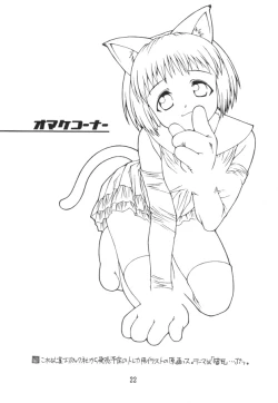 Page 21 of SHINOBOOK 3