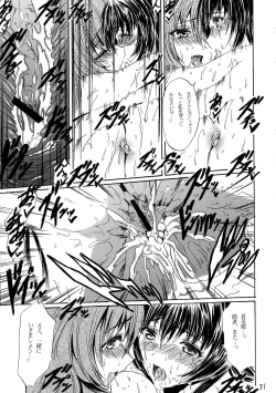 Page 31 of Lanza del Amor