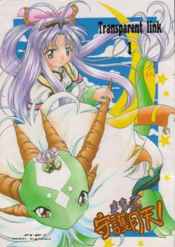 Page 1 of Transparent link