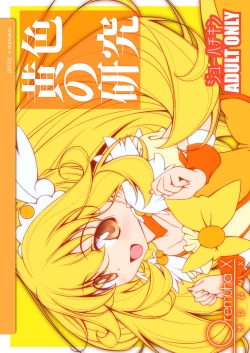 Page 26 of Kiiro no Kenkyuu