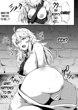 Page 3 of TS Ouji Mikhail Haishin no Mesu Elf | Genderbent Prince Mikhail the Betrayed Female Elf