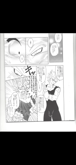 Page 10 of Making vegeta