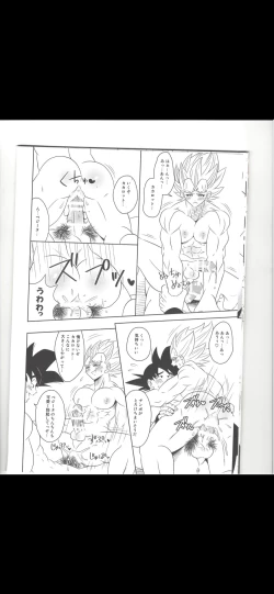 Page 12 of Majing vegeta