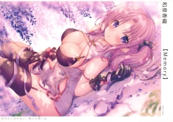 Page 11 of Gypsophila