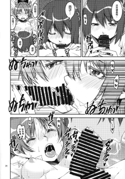 Page 25 of TWIN STICK