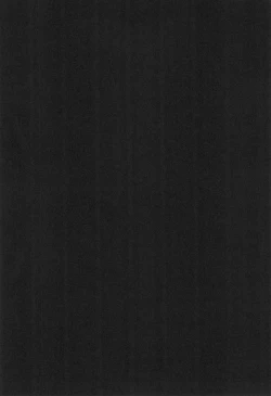 Page 4 of Digital Hazard