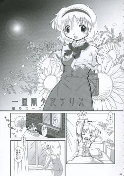 Page 4 of Alice A life