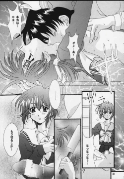 Page 21 of Sentimental Window Vol 3