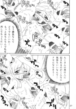 Page 28 of RURIMIX SP