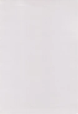 Page 3 of RURIMIX SP