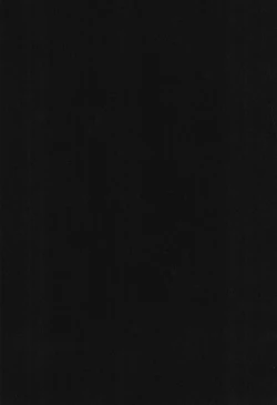 Page 2 of SamSoba Icchou