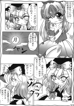 Page 21 of Shin Touhou Rankasai