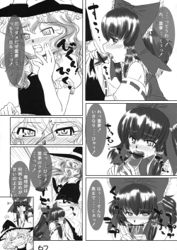 Page 66 of Shin Touhou Rankasai