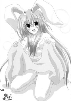 Page 68 of Shin Touhou Rankasai