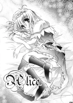 Page 85 of Shin Touhou Rankasai