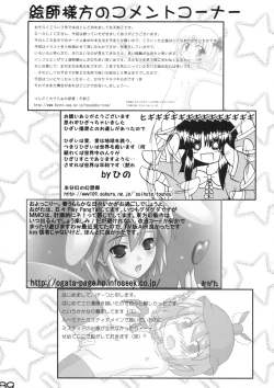 Page 88 of Shin Touhou Rankasai