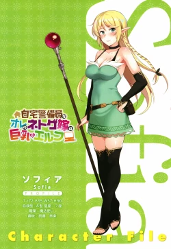 Page 4 of Jitaku Keibiin na Ore no Netoge Yome wa Kyonyuu de Elf