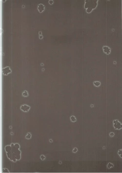 Page 3 of Kimi ga Tame Haruyoi Matoishi Sakura-hime