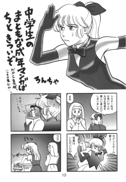 Page 13 of NN Kakubakudan