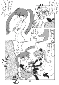 Page 29 of NN Kakubakudan