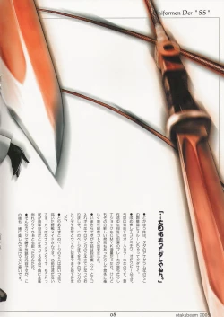 Page 12 of SS 2 Plus Uniformen Der SS