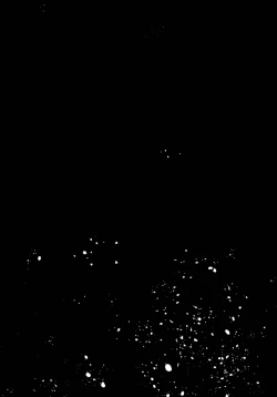 Page 24 of Zenbu Kimi no Sei da. II