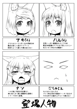 Page 3 of FOX MANIAX4