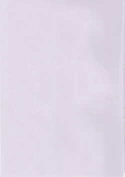 Page 2 of Yuurei Shounen Hajimete no XX